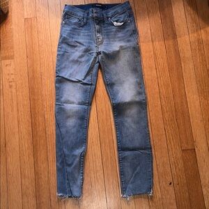 Hudson Jeans Women's Blue Skinny Denim